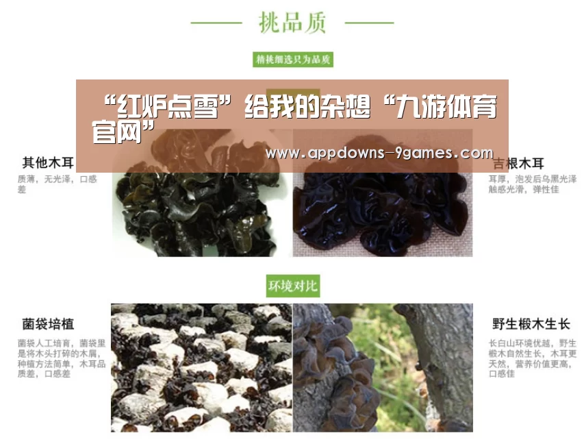 “红炉点雪”给我的杂想“九游体育官网”(图2) “红炉点雪”给我的杂想“九游体育官网”(图2)