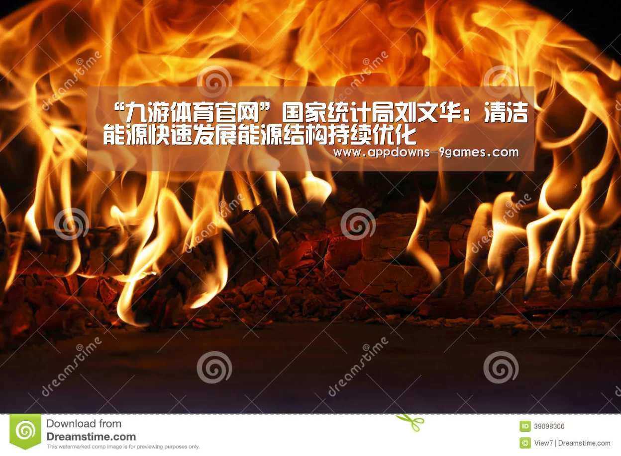 “九游体育官网”国家统计局刘文华:清洁能源快速发展能源结构持续优化(图4) 九游体育官网