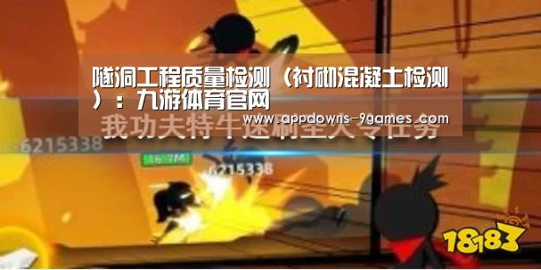 隧洞工程质量检测（衬砌混凝土检测）：九游体育官网(图2)